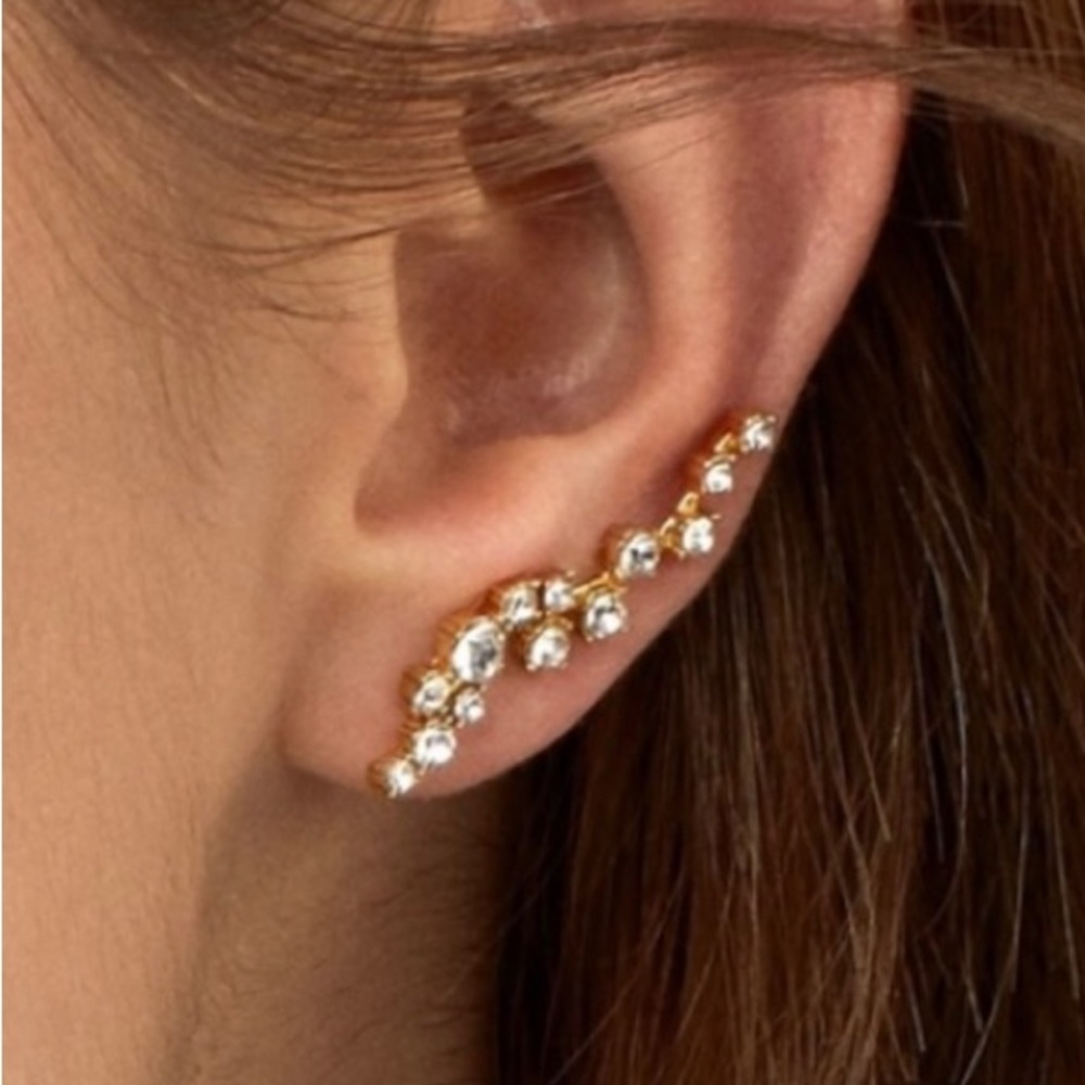 Baublebar earrings